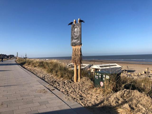New Appartment Zandvoort! Exterior foto